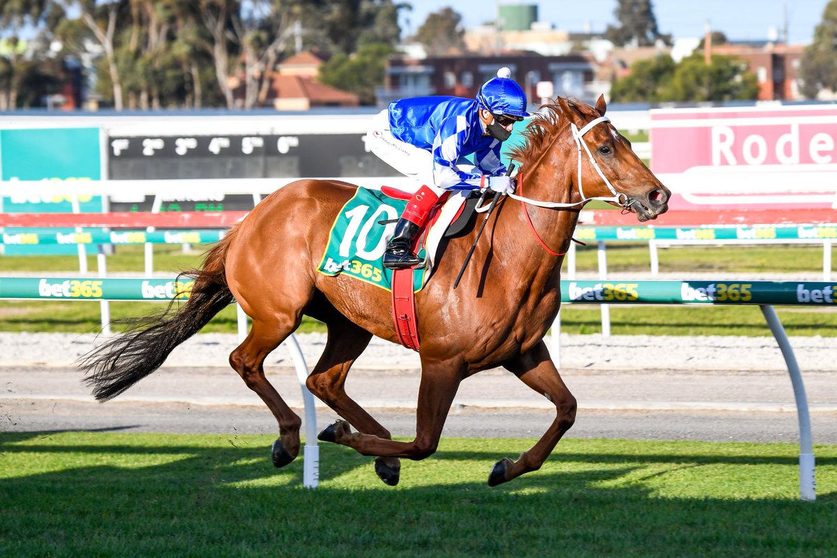 NZ Racing News tweet media