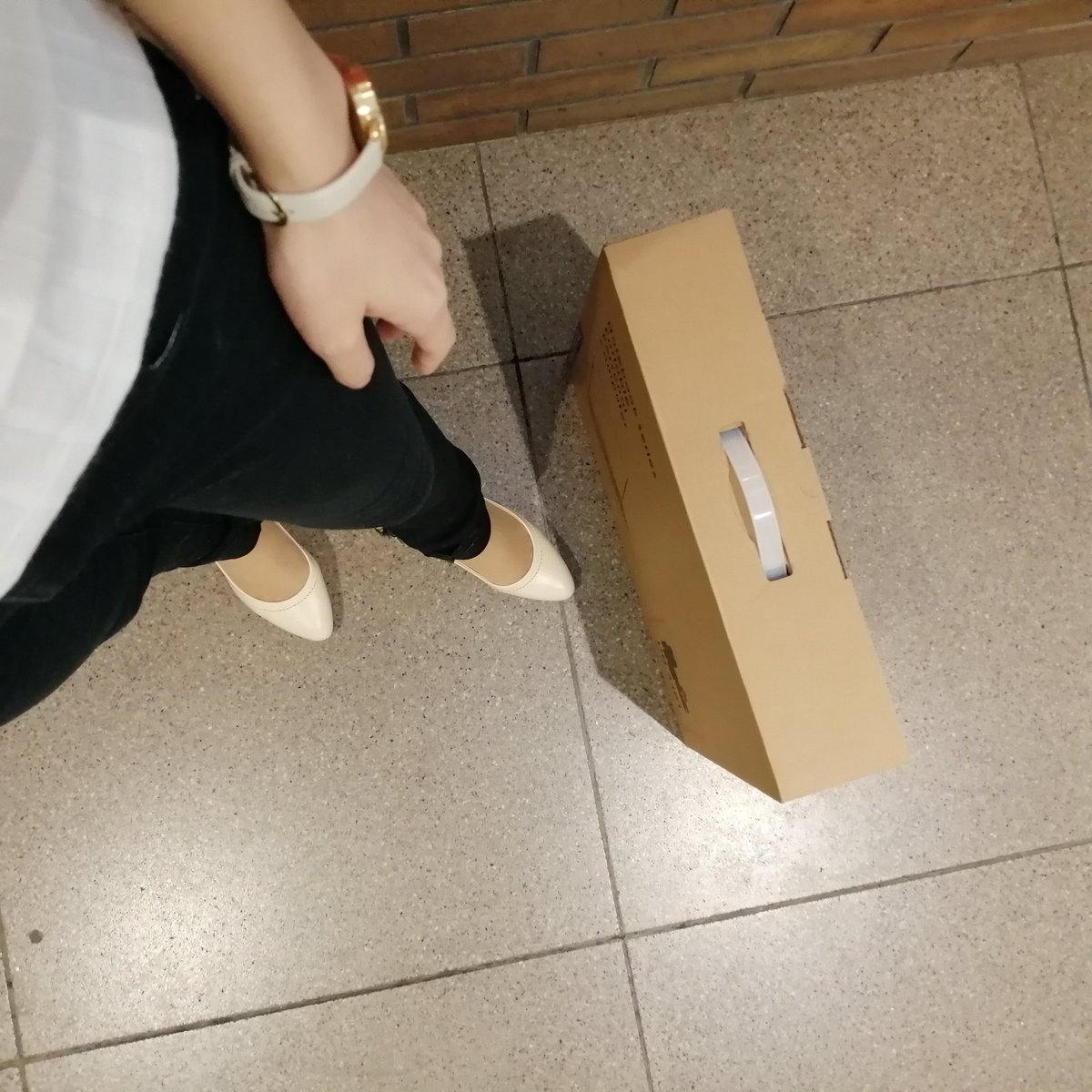 fvitzpk's tweet photo. リアルが鬱すぎる→14にズブズブ→ノーパソ買ってイッヌと自堕落か生活しながら毎晩入り浸るなどしています。GeForce RTX 2080Tiを積んでみたんだけどPS4よりぬるぬる動いて気持ちがよいです
#近況を四枚で語る https://t.co/g3rMyc9XKr