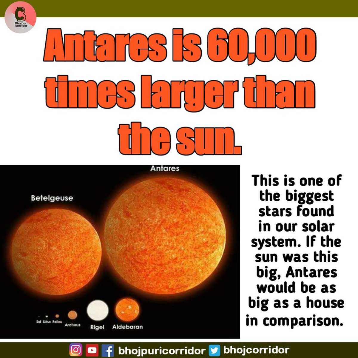 BhojCorridor's tweet photo. Fact of the Day !! 😎

#facts #fact #facts💯 #facts‼️ #factsoflife #factz #factz💯 #weirdfacts #funfact #funfacts #funny #crazyworld #Fact #Facts #FactCheck https://t.co/lxoT5n4i4q