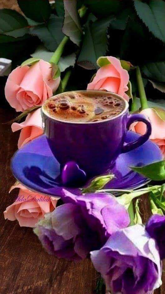 IBalha's tweet photo. أسعد الله صباحكم بكل خير https://t.co/yGgvwi0T14