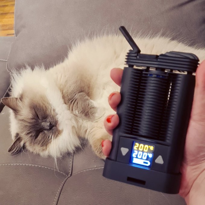 420 with my favourite girl Immie 😁😁 https://t.co/E9vGDENetU