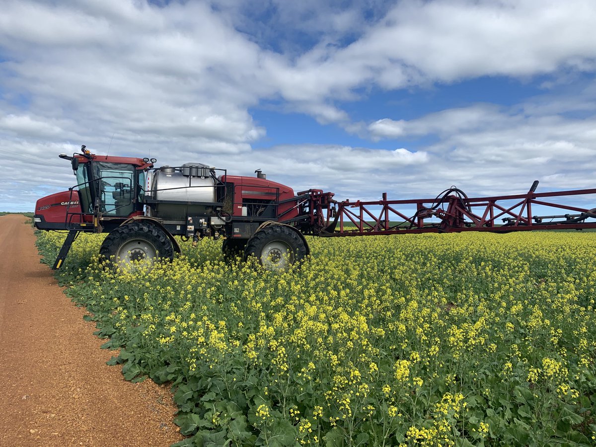 For Sale, 2 x Case 40ft Vario fronts on trailers  (only used on canola), $75k each. Also Case patriot 4420, 120ft, Cummins engine, no aim, $95k
