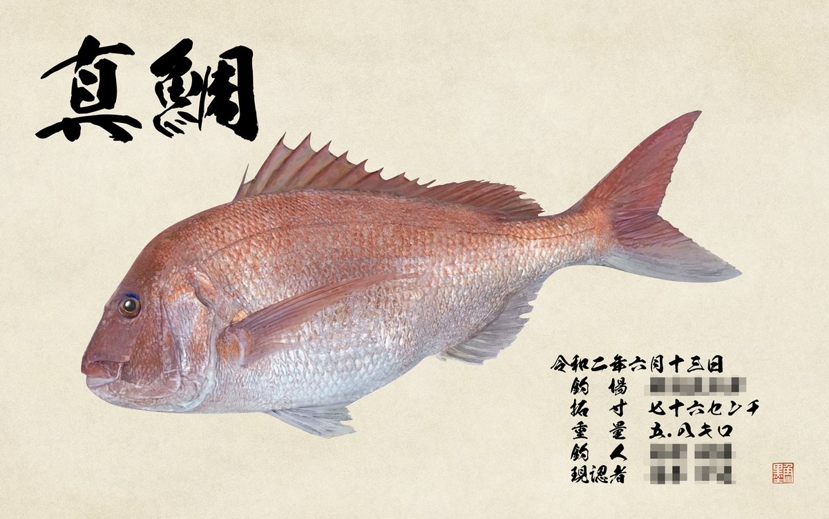 デジタル魚拓 魚墨 Twitterissa 本日のデジタル魚拓のご紹介は カラー魚拓 真鯛 76 綺麗な色ですね 赤というよりピンク に近いお色ですね 真鯛は生きて泳いでいるときはピンクだそうです その瞬間をそのまま紙にのせたような作品です 魚 魚拓 釣り