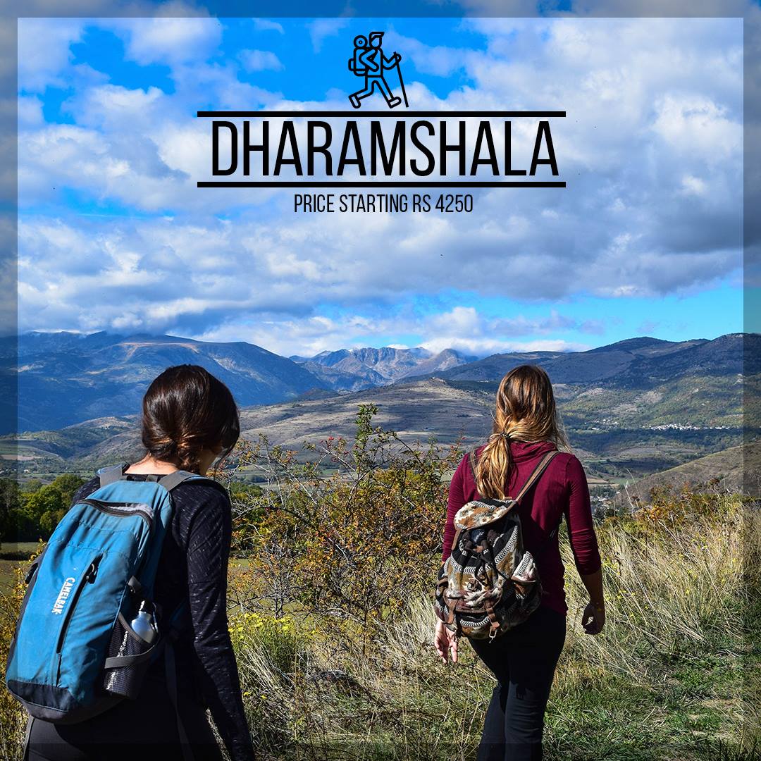 FlbResorts's tweet photo. #FLBresorts #Dharamshala #LivetheLocal #TravelQuotes #Travel #IncredibleIndia #Solo #travelphotography #traveltheworld #traveldiaries #travellife #photography #ttot #photo #nature #vacation #photooftheday #adventure #landscape #instatravel #naturelovers #Wander #trekking https://t.co/vWUrbAgYyC