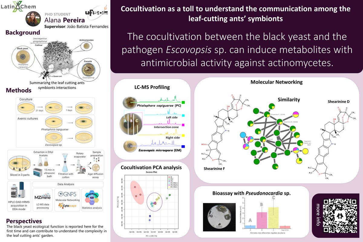 Hi everyone! It is <a href="/LatinXChem/">LatinXChem</a>! This is a summary of my study: “Cocultivation as a toll to understand the communication among the leafcutting ants' symbionts”, at #LatinXChemBio. My poster number is #BIO007. Feel free to ask me about any questions. I'll love to reply! 👩‍🔬🧪😍