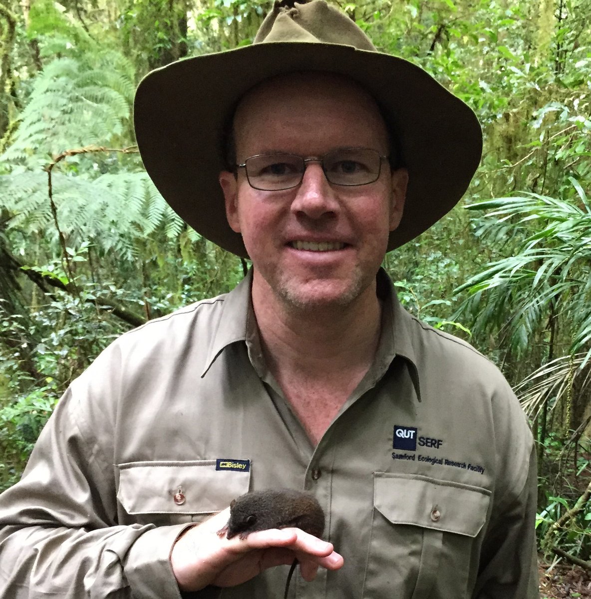 QUT's tweet image. On #ThreatenedSpeciesDay it’s great to the endangered #antechinus researched by #QUT mammalogist Dr Andrew Baker and his team taking centre stage: on the cover of a new children’s book and introduced by Dr Baker in this video bddy.me/2ZdJRg1 @TSR_Hub @IFE_QUT @QUTSciEng