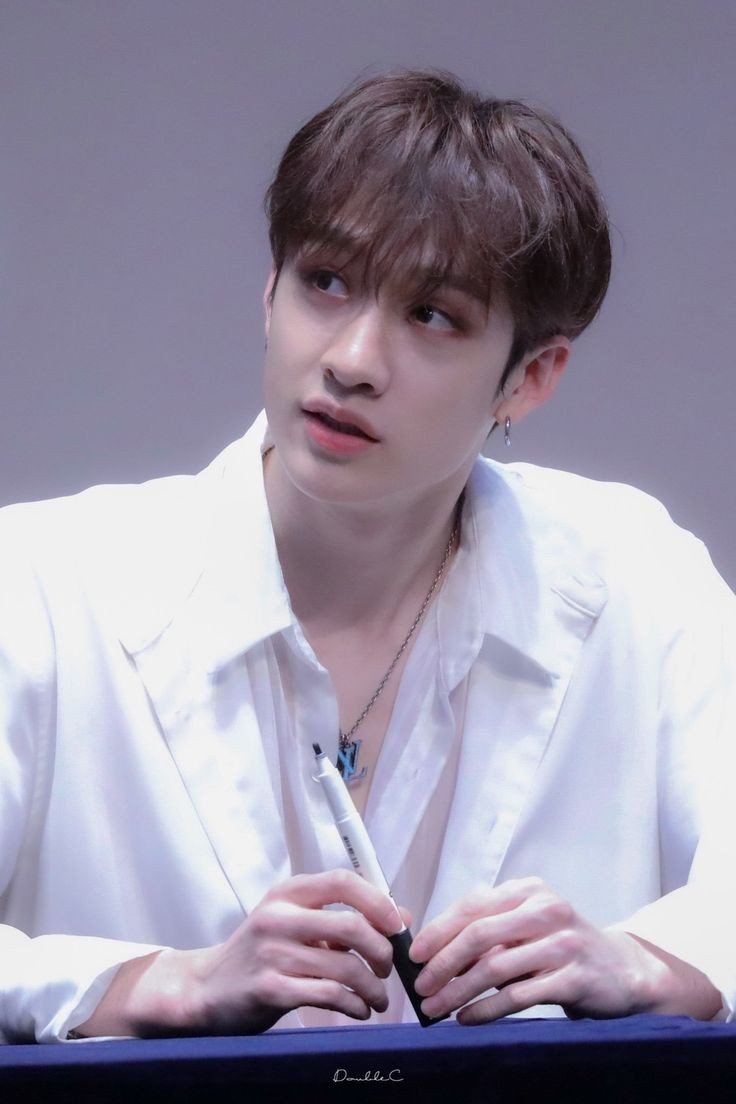 4. BANG CHAN (Stray Kids)