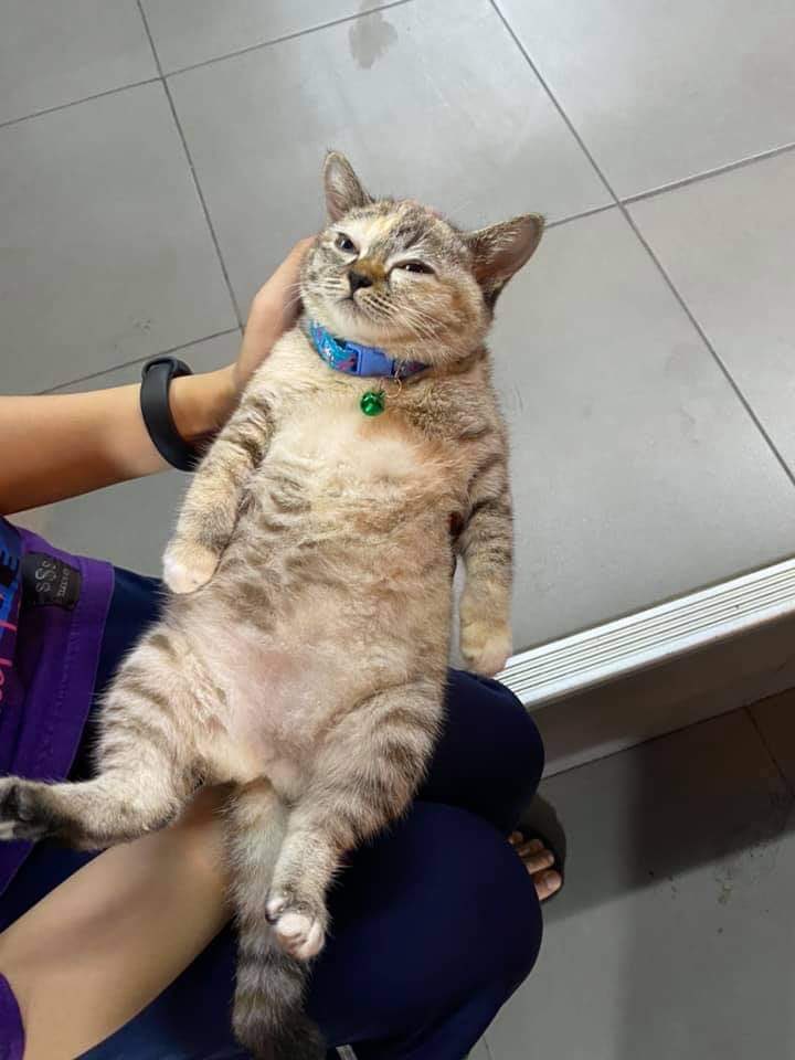 acuteattack's tweet photo. ต้าวน้องอู้ฟู้เป็นน่ารักมาก https://t.co/Sqajk8UDSc