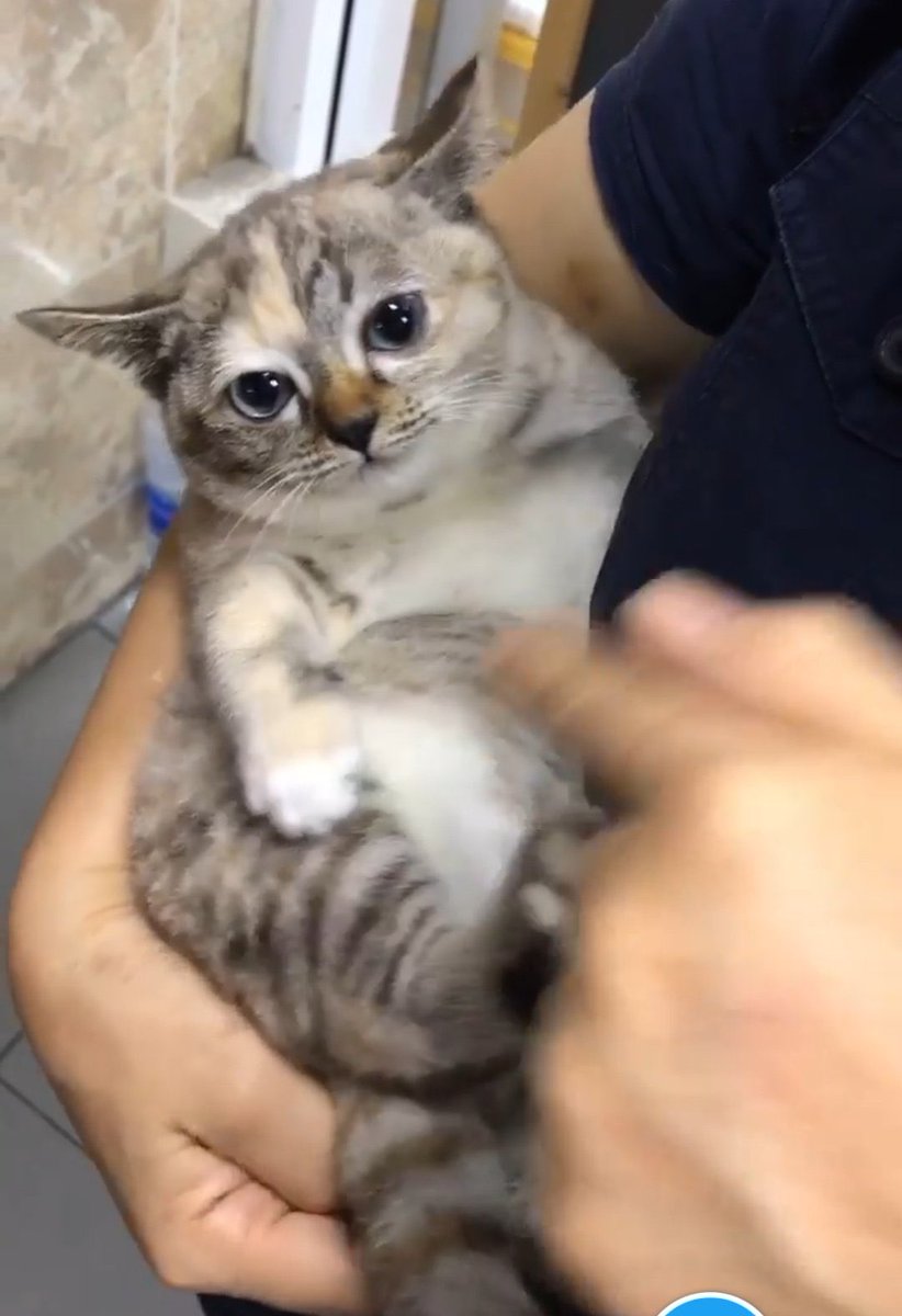 ต้าวน้องอู้ฟู้เป็นน่ารักมาก