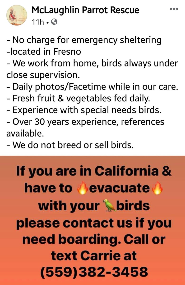   #CreekFire  #FresnoCounty  #Parrot Rescue can board evacuee  #birds Text Carrie @ 559-382-3458Post  http://m.facebook.com/story.php?story_fbid=1416109971908080&id=358676250984796 #Evacuations  #DAT  #California  #MaderaCounty  #CaliforniaFires  #SierraNationalForest