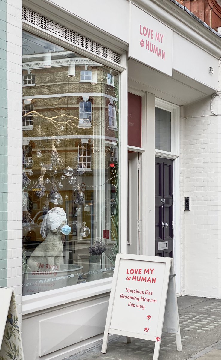 love_my_human's tweet photo. We have a lovely fresh coat of @LittleGreene lImestone paint on our walls and next weโll refresh the interiors, thank you for supplying such fine paints we are huge fans ๐๐ป๐๐ป๐๐ป
.
.
#mondaythoughts #lpainting #MondayMotivaton #ShopSmallUK #dogs #lovemyhuman #RetailDesign https://t.co/kFu6DtBrRR