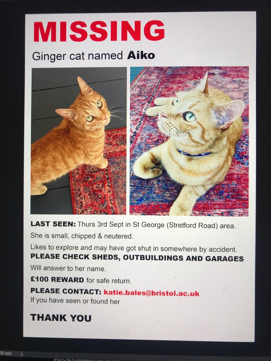 Katie Bales (she/her) (@katiebales2) on Twitter photo If you’re in the St George/ Easton area of Bristol, please keep a look out for my cat, she has been missing since Thursday night 😢 If you’re in the St George/ Easton area of Bristol, please keep a look out for my cat, she has been missing since Thursday night 😢