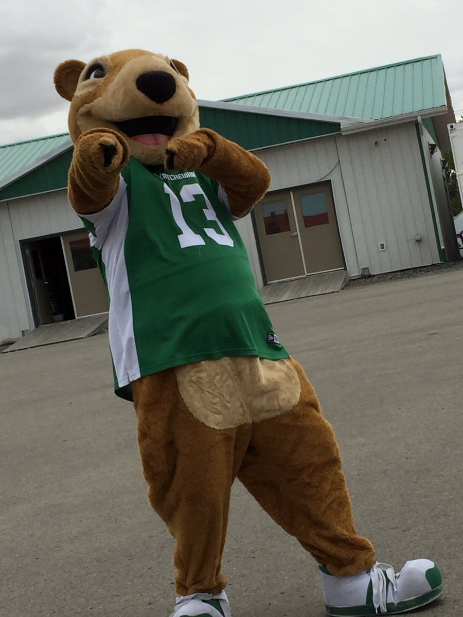 leemsue's tweet photo. @sskroughriders I celebrated Saskatchewan Roughrider Day by attending the drive-thru event today!  It was great to see all the vehicles there showing their #RiderPride !  Thanks for putting on the event. GO RIDERS! https://t.co/zlc1gugZVM