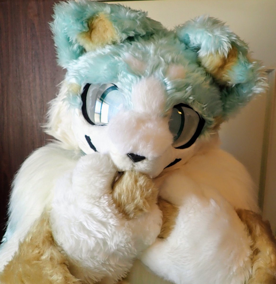 ice_chemit's tweet photo. #全日本うちの子可愛いんでファンになってください協会

………

…やっぱりべぇーってするの恥ずかしいぃ(ˉ ˘ ˉ; )💦 https://t.co/PHbkPh049G