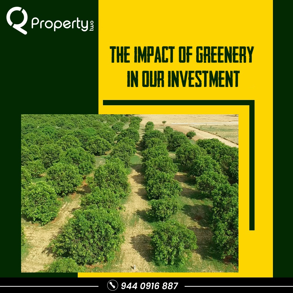 Property2sales's tweet photo. Beautiful lands covered with lush greenery and serene atmosphere welcomes you at Property2. Own a farm land now to enjoy these luxuries. For more details contact us at +91 9440916887

#RealEstate #FarmLands #Hyderabad #LowInvestments #HighReturns #IndividualLands #Farming https://t.co/LCKWDHtiGQ