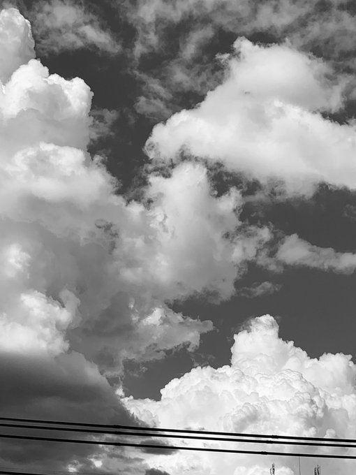 失恋したのtwitterイラスト検索結果