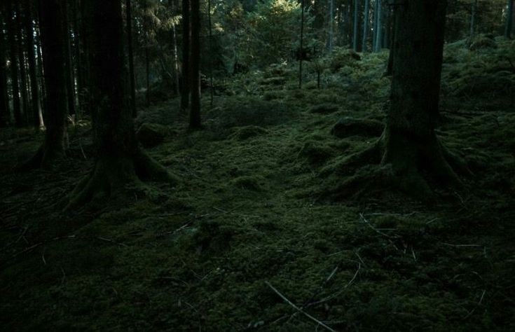 nature sleeps, awaits for the sunrise