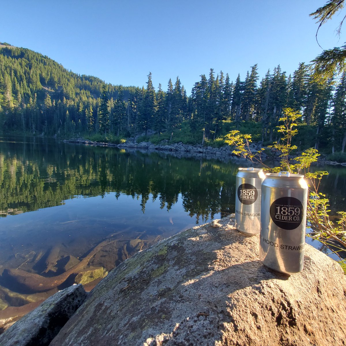 EmileeLynette's tweet image. @1859CiderCo #thirstaidkit #masonlakesnoqualmie 
Washington is ready for 1859 Cider Co 😁