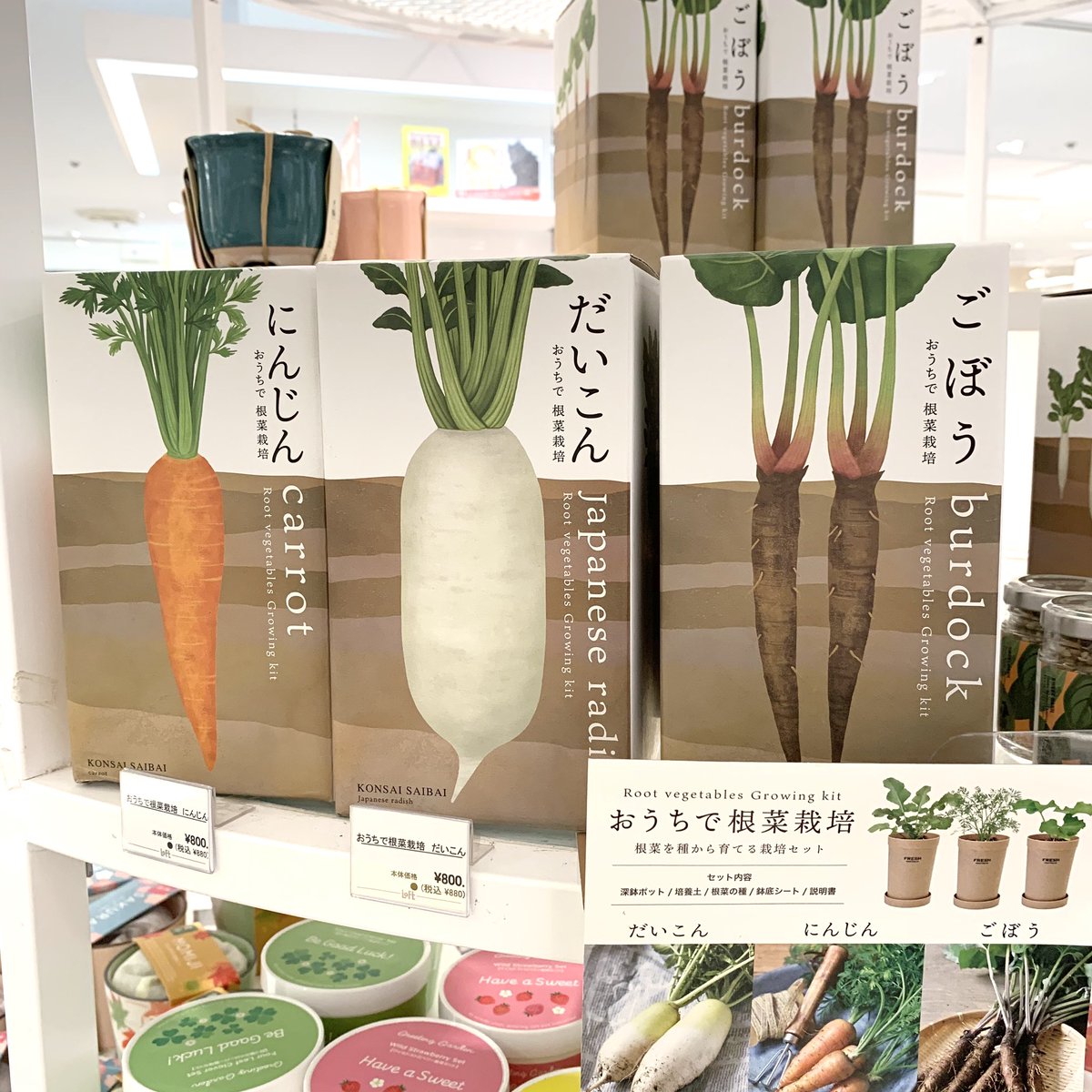 大宮ロフト 秋はおいしい食べ物がたくさん おうちで根菜栽培 は ごぼう にんじん 大根を育てられる栽培キットです 種の秋まきは9月 11月 根菜の収穫は深鉢からするっと引き抜くのが楽しいそうですよ 自分で育てた根菜なら さらにおいしく