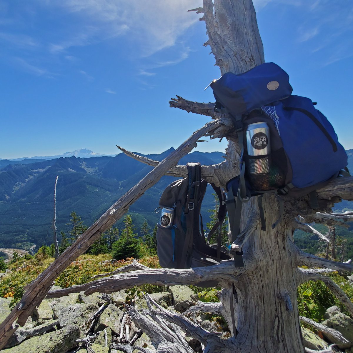 EmileeLynette's tweet image. Don't climb a mountain without one. Or two. 🙃 @1859CiderCo #thirstaidkit #putridpetespeak