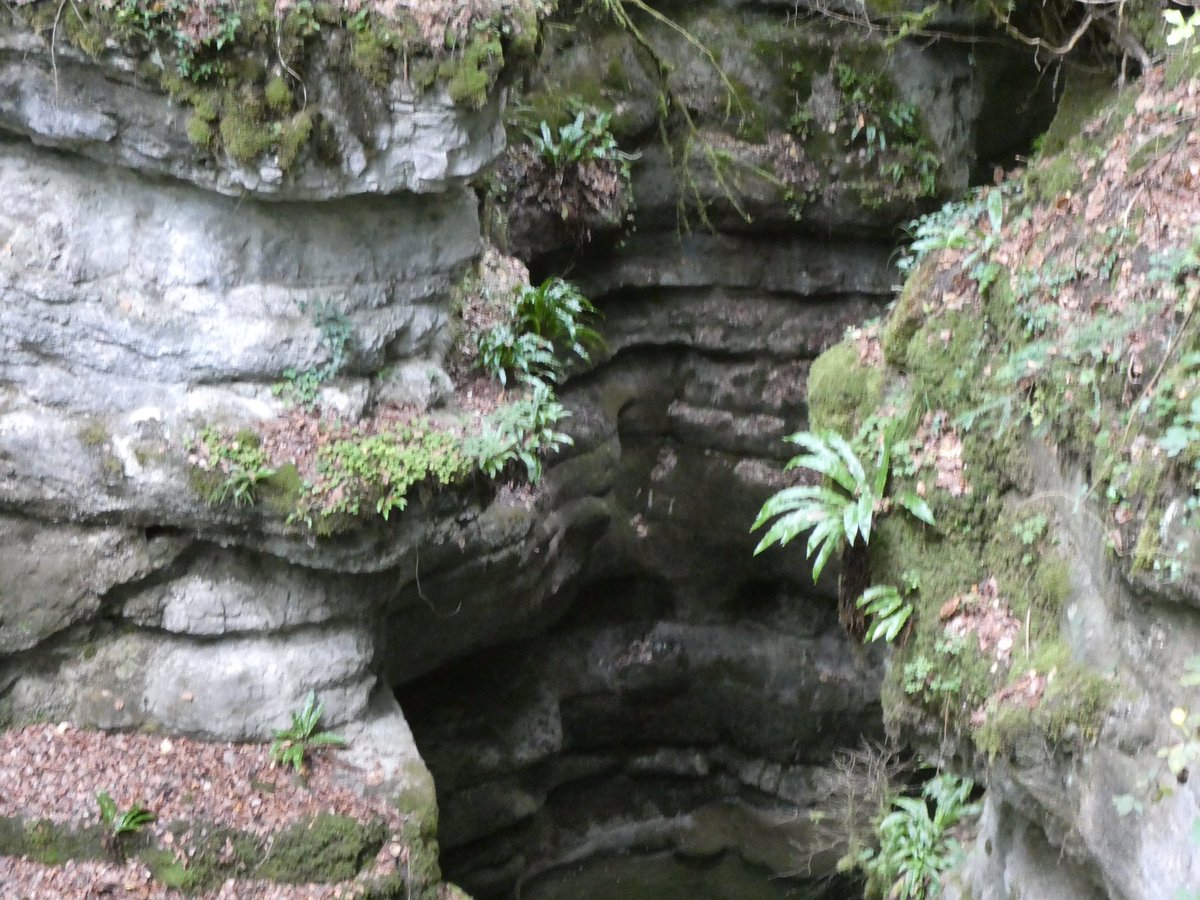 redtestwine's tweet image. จะมองเห็นความยิ่งใหญ่ของธรรมชาติ ในช่วงนี้น้ำไหลผ่านมาจากใต้ดิน หินเป็นชั้นๆ เสียดายน้ำน้อย ช่วงนี้เป็นช่วงต้นๆของแม่น้ำ
l’Areuse #Boudry #Neuchâtel #Switzerland 

#เที่ยวสวิสแบบทัวร์ไม่พาไป