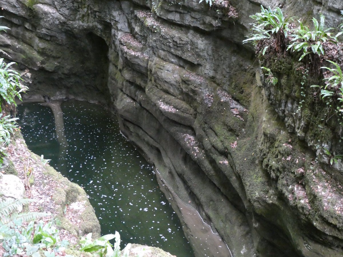 redtestwine's tweet image. จะมองเห็นความยิ่งใหญ่ของธรรมชาติ ในช่วงนี้น้ำไหลผ่านมาจากใต้ดิน หินเป็นชั้นๆ เสียดายน้ำน้อย ช่วงนี้เป็นช่วงต้นๆของแม่น้ำ
l’Areuse #Boudry #Neuchâtel #Switzerland 

#เที่ยวสวิสแบบทัวร์ไม่พาไป