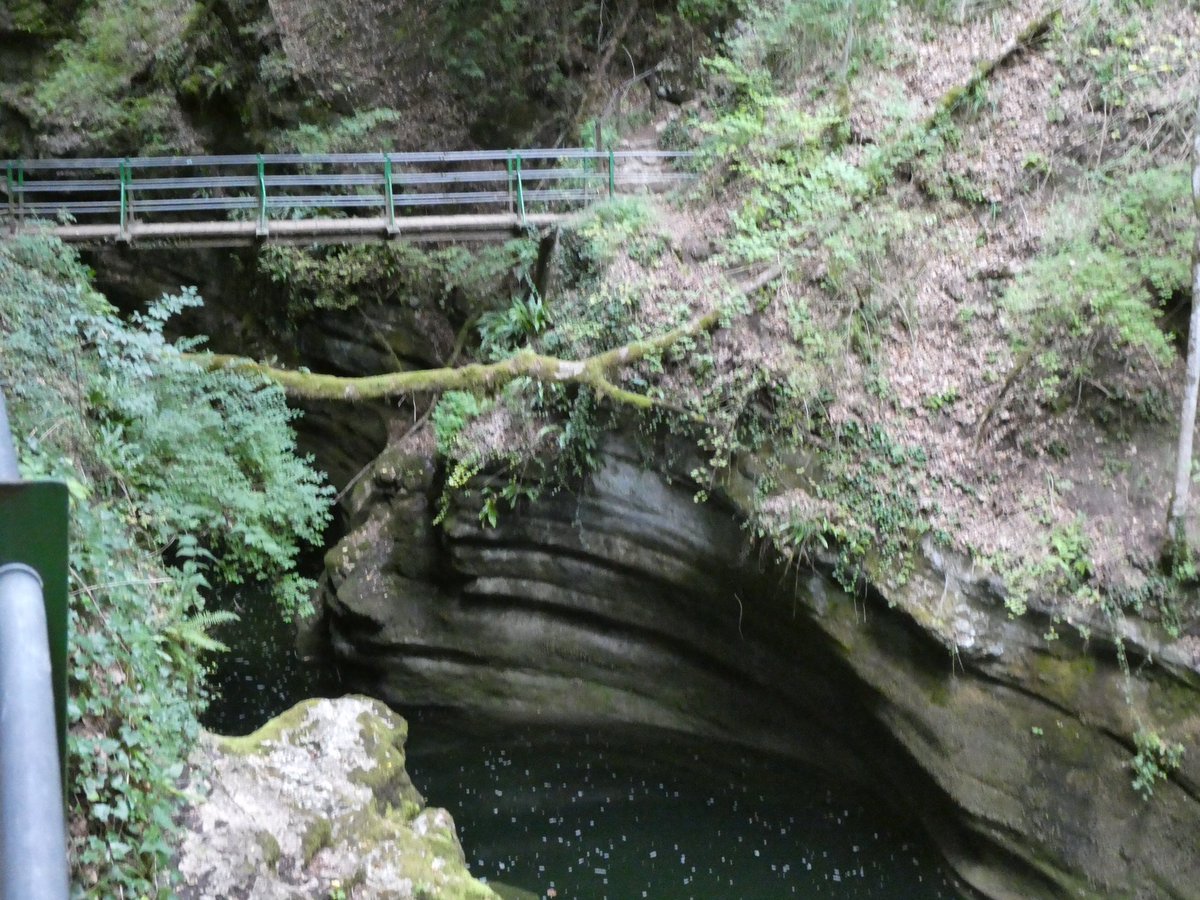 redtestwine's tweet image. จะมองเห็นความยิ่งใหญ่ของธรรมชาติ ในช่วงนี้น้ำไหลผ่านมาจากใต้ดิน หินเป็นชั้นๆ เสียดายน้ำน้อย ช่วงนี้เป็นช่วงต้นๆของแม่น้ำ
l’Areuse #Boudry #Neuchâtel #Switzerland 

#เที่ยวสวิสแบบทัวร์ไม่พาไป