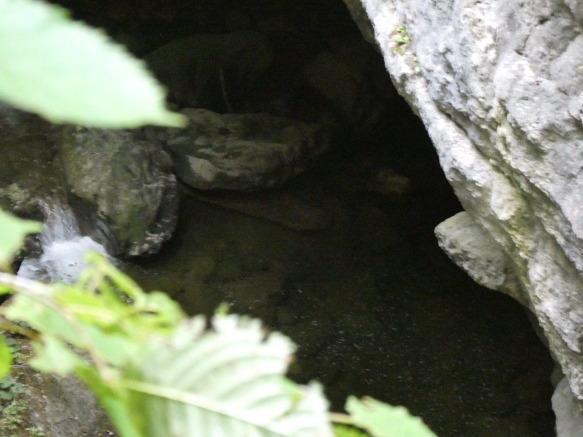 redtestwine's tweet image. จะมองเห็นความยิ่งใหญ่ของธรรมชาติ ในช่วงนี้น้ำไหลผ่านมาจากใต้ดิน หินเป็นชั้นๆ เสียดายน้ำน้อย ช่วงนี้เป็นช่วงต้นๆของแม่น้ำ
l’Areuse #Boudry #Neuchâtel #Switzerland 

#เที่ยวสวิสแบบทัวร์ไม่พาไป