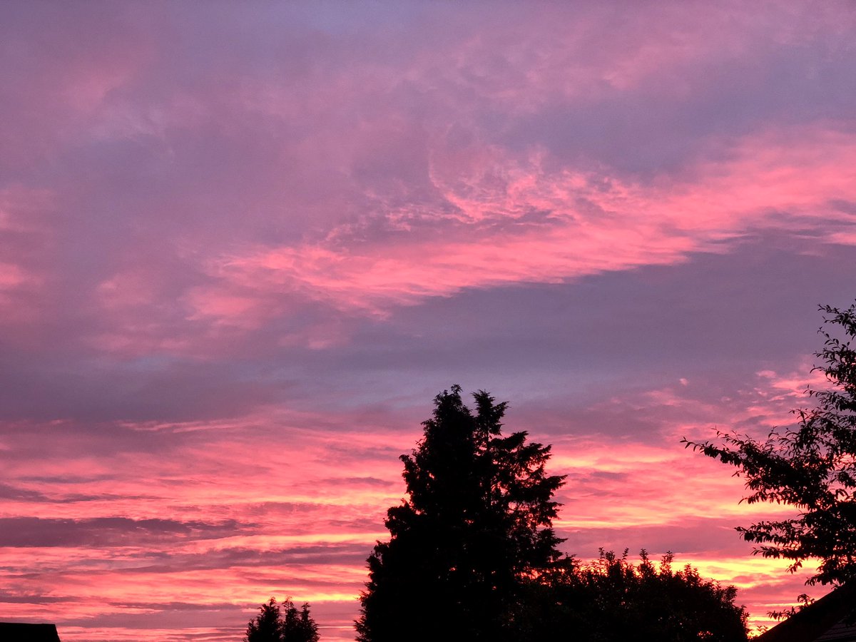 Egremont Primary tweet media