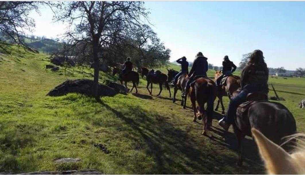   #CreekFire  #FresnoCountyEvacuating & need a place for  #horses in the  #Clovis area? The Double S Horse Ranch has 70+ pens avail. 559-392-6972Facility   http://www.doubleshorseranchclovis.com   http://www.facebook.com/399530746876987/posts/1611774658985917 #California  #DAT  #Equine  #MaderaCounty  #Evacuations  #Animals