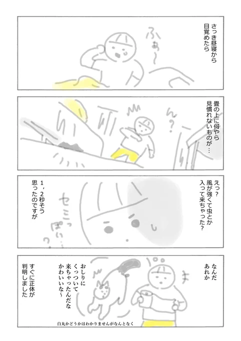 謎の物体の正体は… 