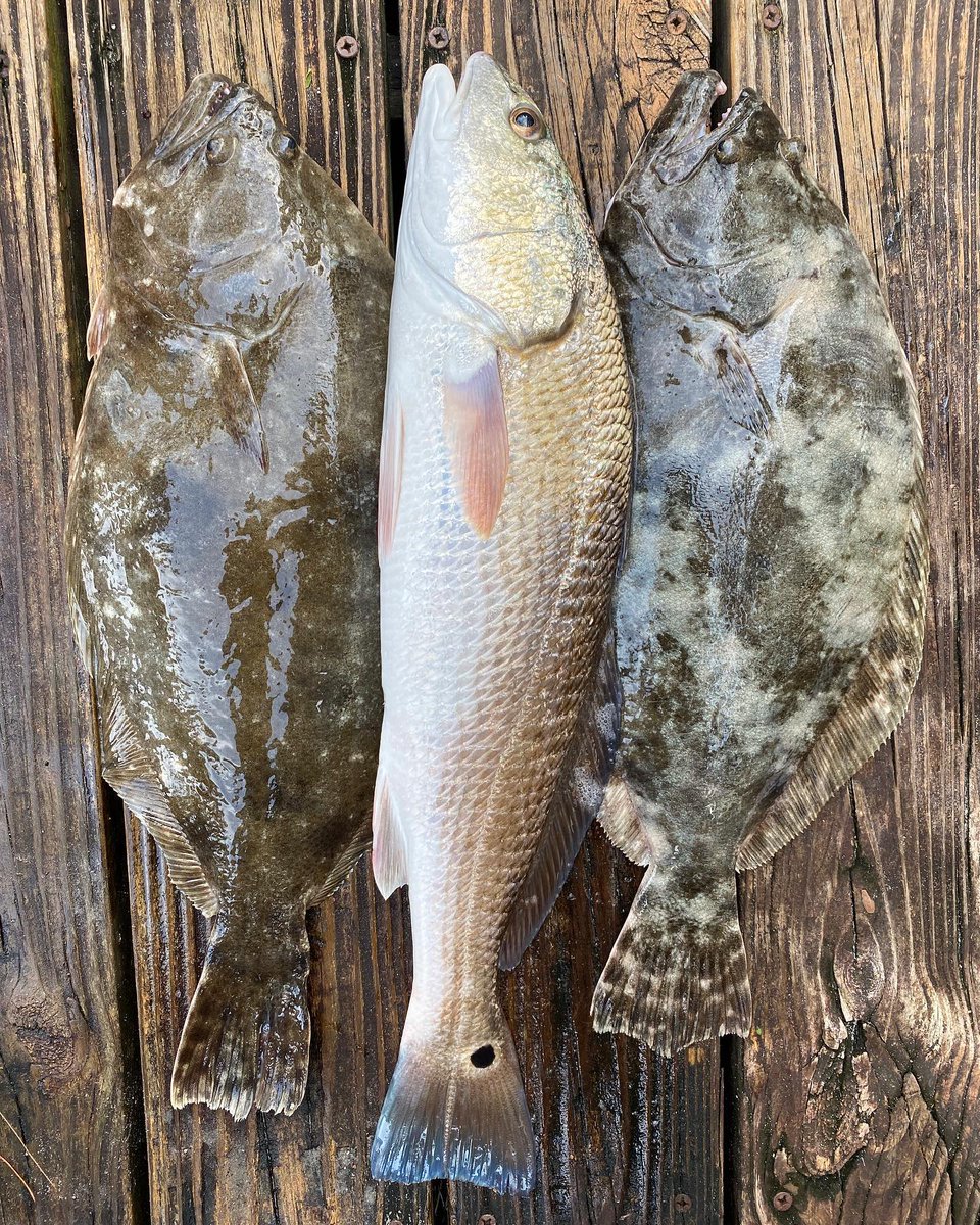 AaronRamus's tweet photo. Well I’d say we caught an #inshore #sandwich @jordannason_photo 🎣💪

📸 https://t.co/30n9Duehey via https://t.co/Ar4o8N4HKP https://t.co/ivEGYxM0j5