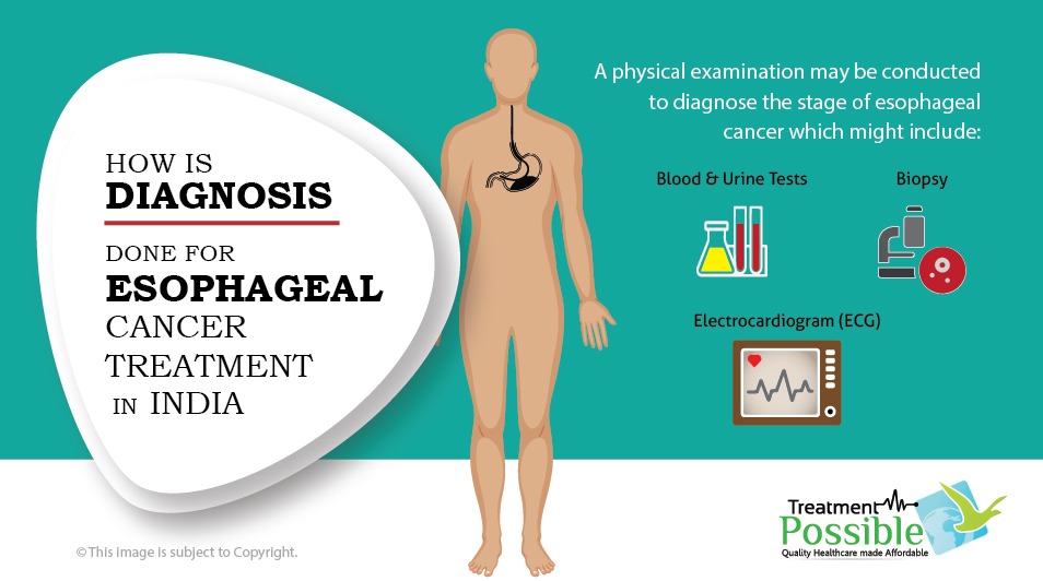treatmentpo's tweet photo. How is Diagnosis done for #esophagealcancer ??

 A physical examination may be conducted to diagnose the stage of esophageal cancer which might include: Blood test,Biopsy,Urine test and ECG.

Read more about it here: https://t.co/7dOiGZJPsG

#treatmentinindia #treatmentpossible https://t.co/pLXGC327fl