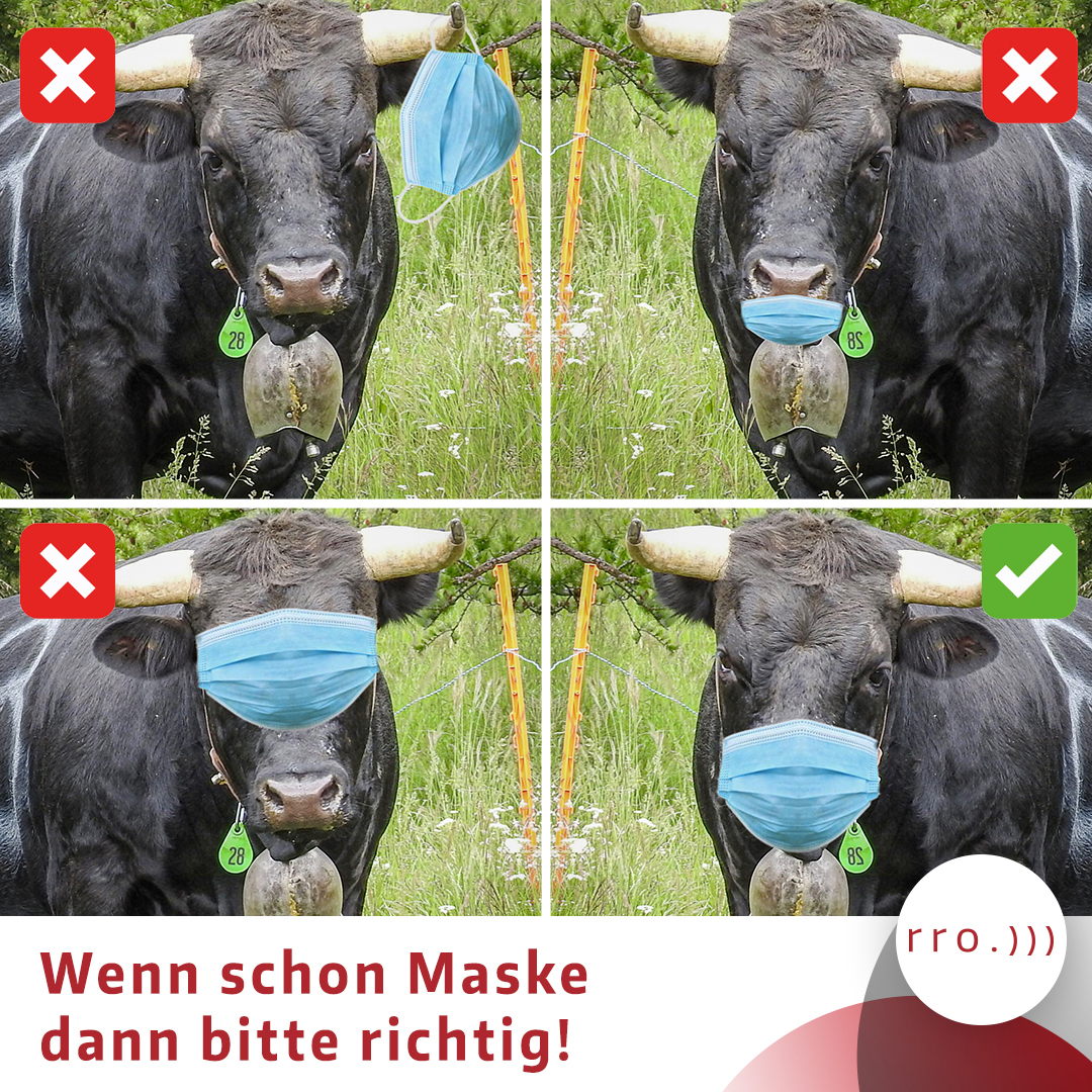 radiorottu's tweet photo. So schwierig ist es nicht! 😷 #maskenpflicht #coronavirus #kantonwallis #valaiswallis #eringer https://t.co/J3mkN3TiN2