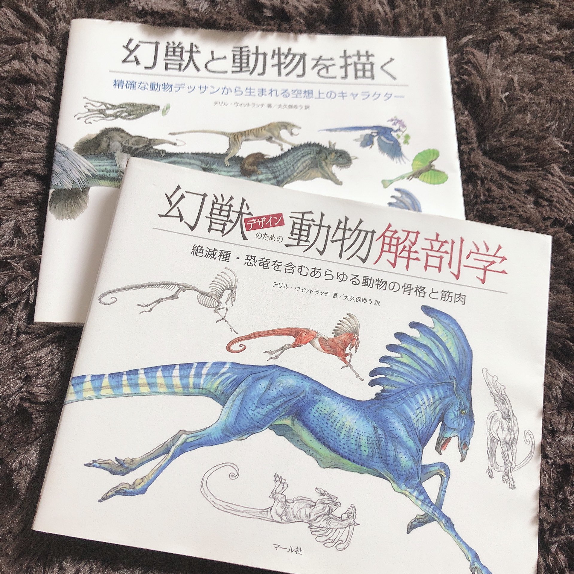 𝔦 𝔪 𝔬 ３ エレンベルガーの動物解剖学 最近新たに加わった参考資料 載ってる動物の種類は少なく 一種につきの情報量がかなり詰まってる一冊 有り難いくらい事細かに説明してくれている 感謝 堪らん 部位名称や構造をもっと覚えたい方向け