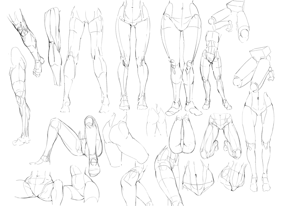 Have some waifus

and some leg studies ?

#legs 