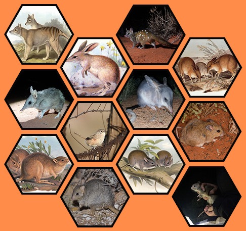 Arid Recovery tweet media