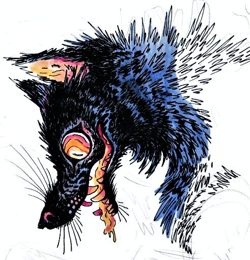 🌾🌿🪿 Holly 🪿🌿🌾 tweet media