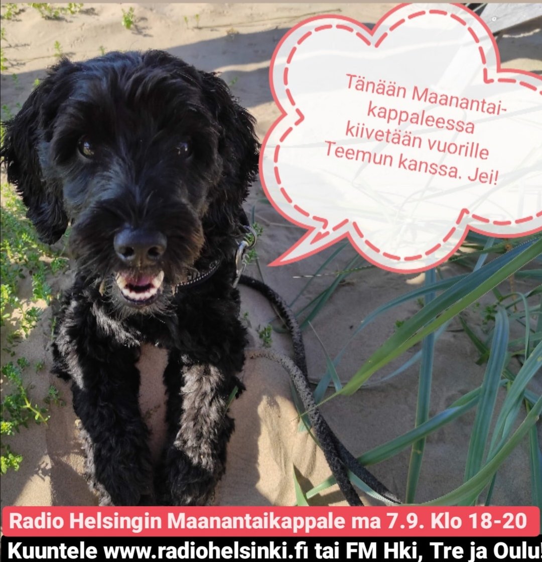 Kiipeilyä, vaellusta, vagushermoa ja safkaa. <a href="/RadioHelsinki/">Radio Helsinki</a> #maanantaikappale tänään!