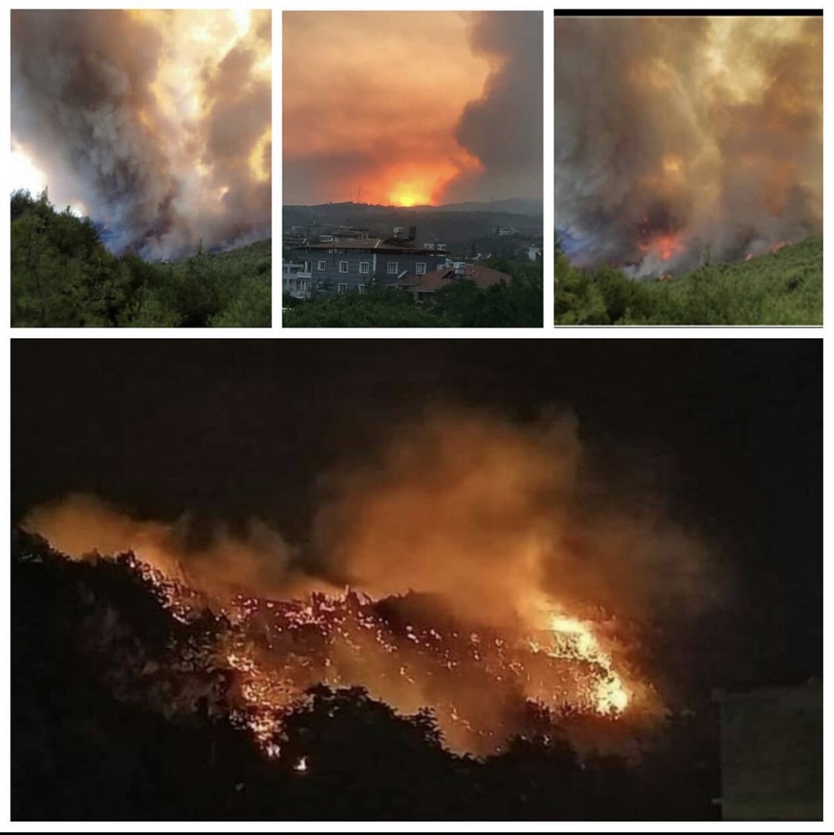Ciğerlerimiz yanıyor Allahım dursun arttık bu #yangin  #hatay