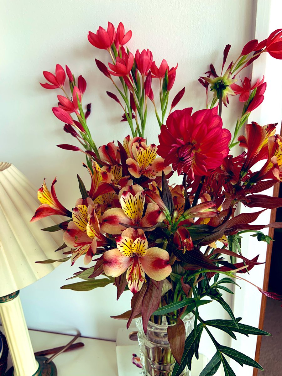 SkylarkArtist's tweet photo. A little Joy goes a long way...
Happy new week!
#staysafe #havefun #laughlots #becharitable #charityisloveinaction Alexander Pope
๐ผ๐น๐ธ๐บ๐ธ๐น๐ผ https://t.co/cMF32StARx