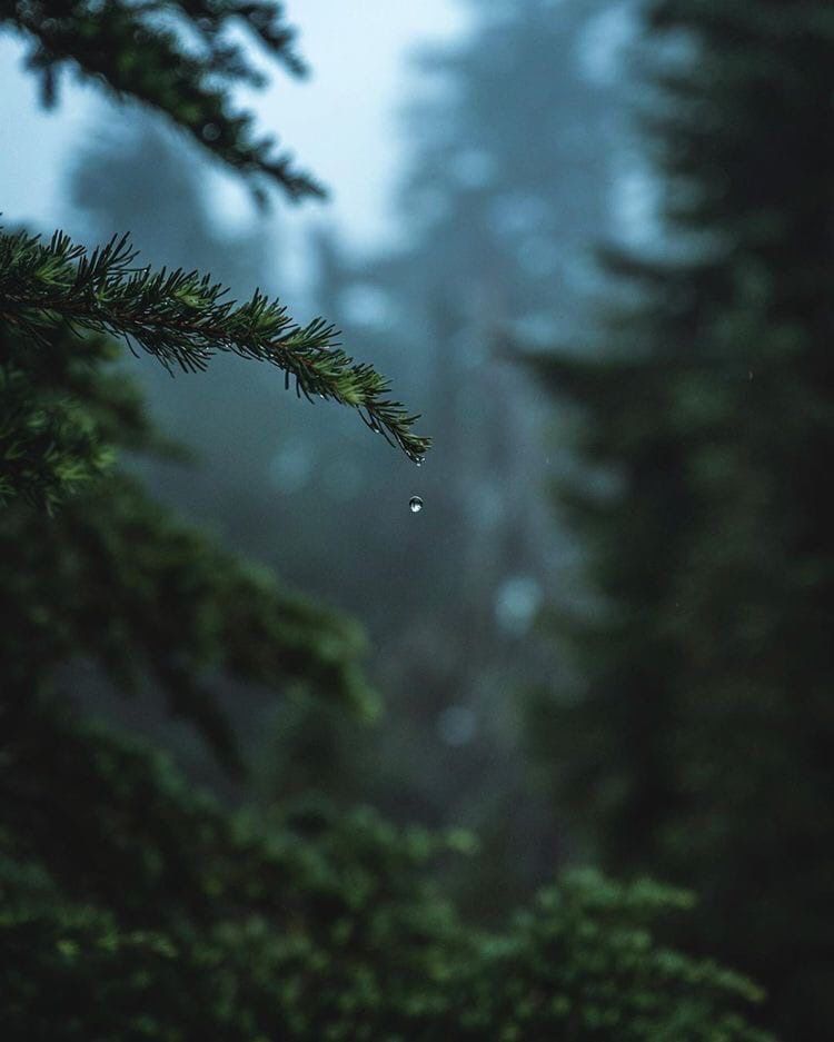 minimalism tweet media