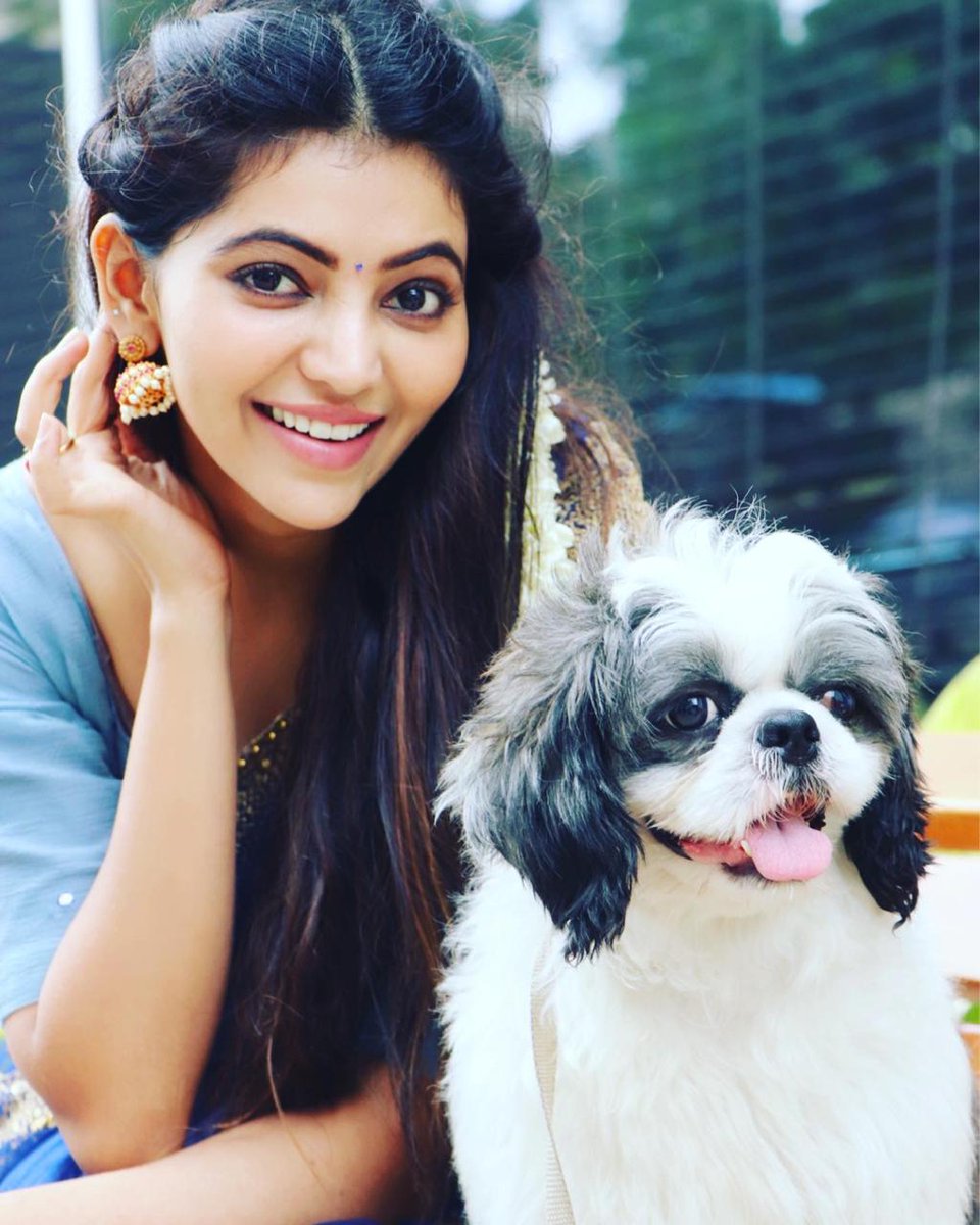 OnlyHeroinesOff's tweet photo. Wowww... She Looks So Cute @AthulyaOfficial 😍💘

#AthulyaRavi #Athulya @NiKiTa_BeBo @Nehareeka15 @Shivani11854167 https://t.co/JEUli3OCeI