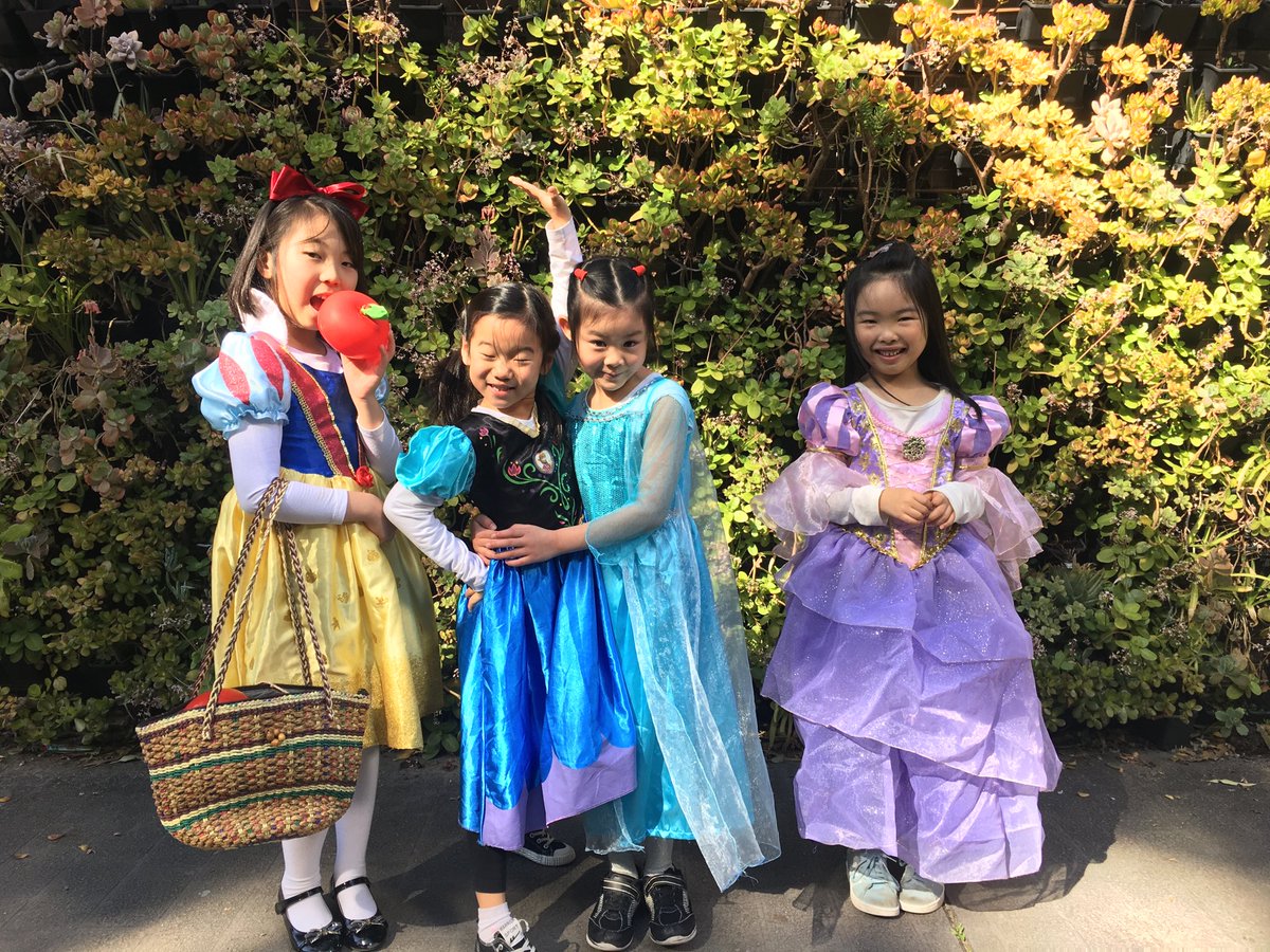 KENSINGTONPS's tweet photo. What’s the collective noun for a group of princesses ??
It must be Book Week !
#kps #favouritebookcharacter #bookweek #nswpublicschools #21b https://t.co/lxjORe22Ng
