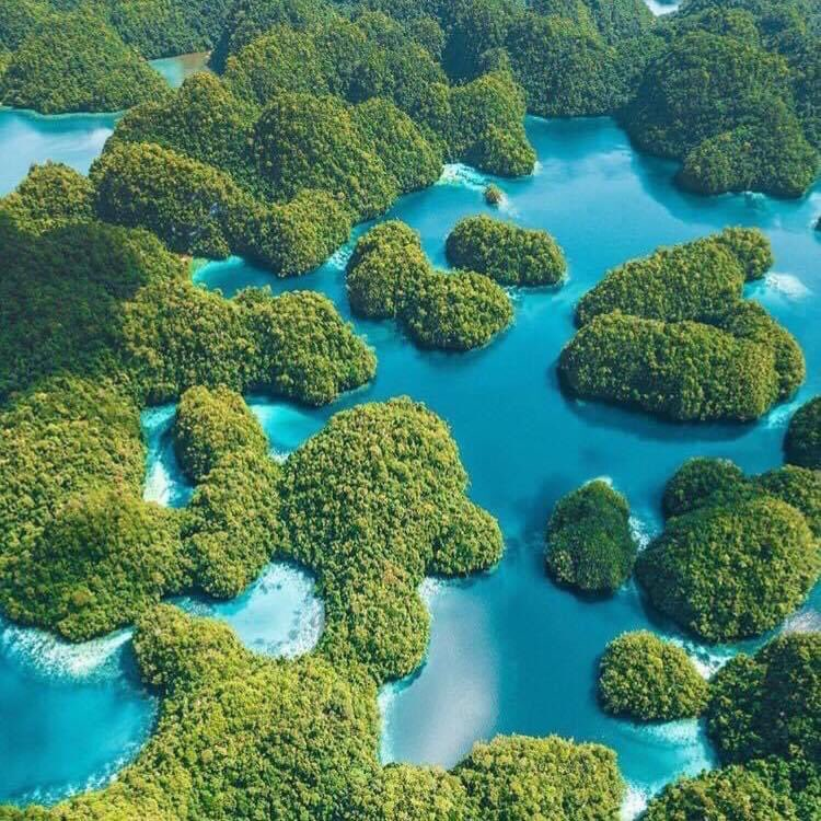 아구야88 (@aguya8a8) on Twitter photo 