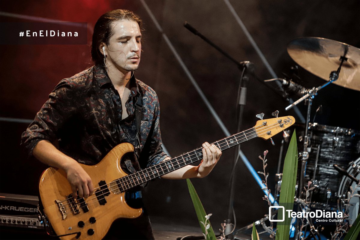 teatrodiana's tweet photo. @musicvirrey con producción de #stageonline  nos dió una gran experiencia. 

¿Estuvo en tu pantalla?

¡Coméntanos!
 
Aún puedes disfrutar de una gran propuesta musical.
 
https://t.co/hiEbagF1dV

#TeatroDiana #StageOnLine #VirreyMusic  #ElDianaEnLine https://t.co/dWOxsKtOy8