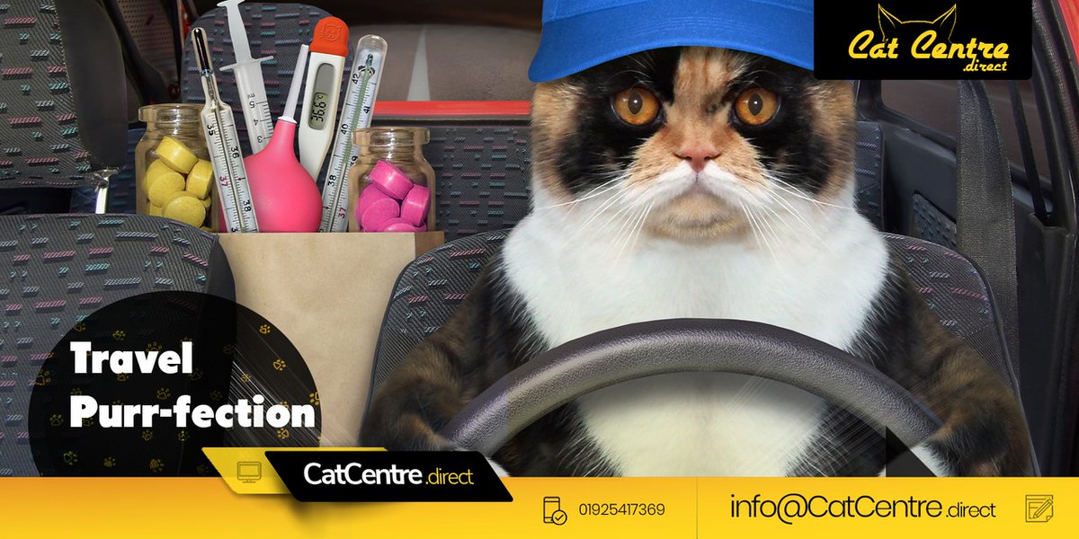 catcentre_bd's tweet image. Cats and any unsecured animal will act as a missile in the event of a car crash, it’s vital that they are protected and safe during every car journey no matter how small.

#travelwithcats #catsthattravel #catsandcars