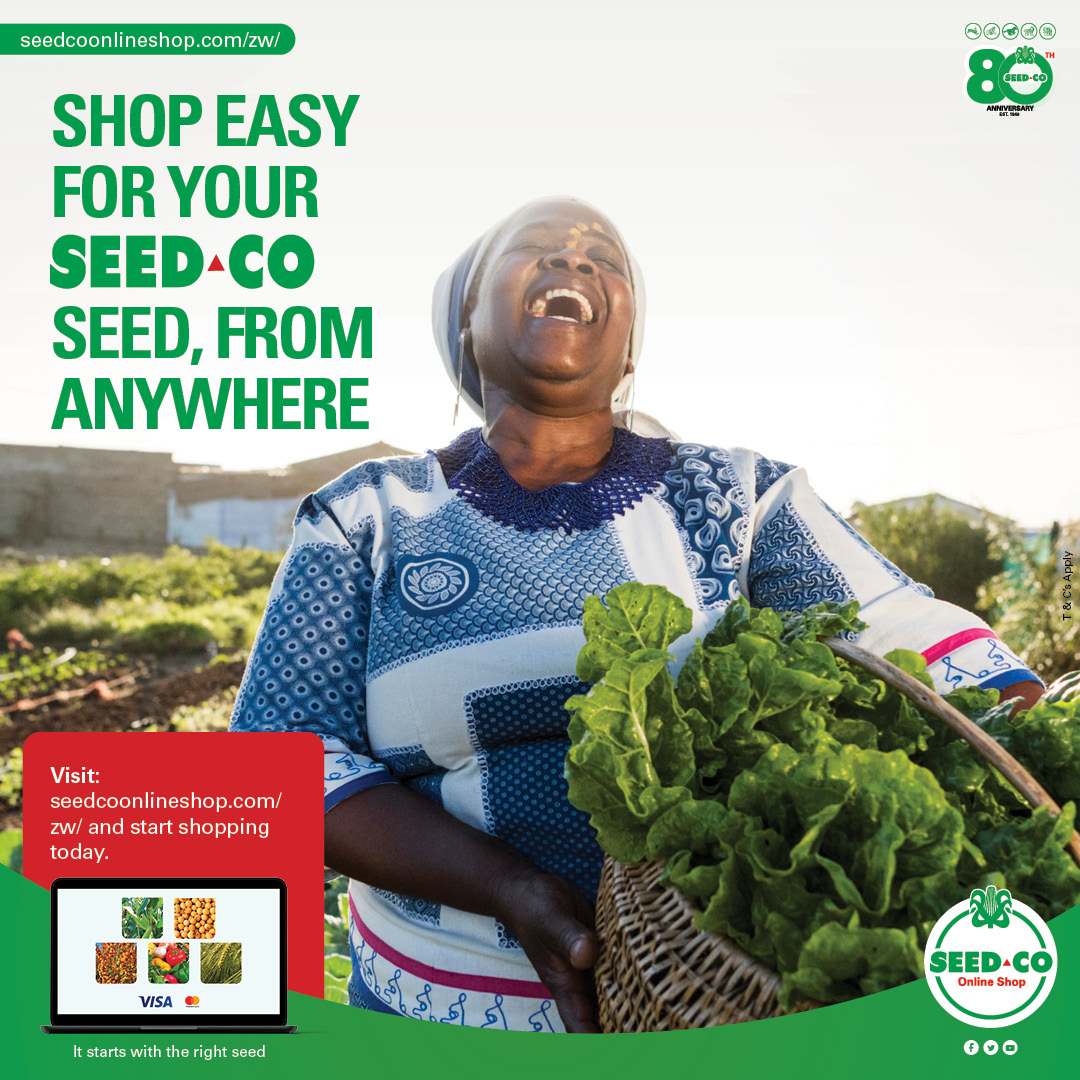 Seed Co Zimbabwe tweet media