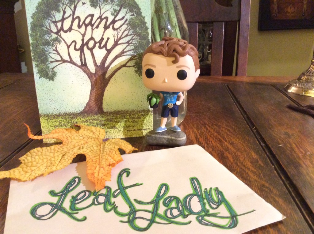 leafladygreens's tweet photo. Remember when a pop doll was made for me?? I couldn't believe it.. https://t.co/6nGYuS24ej