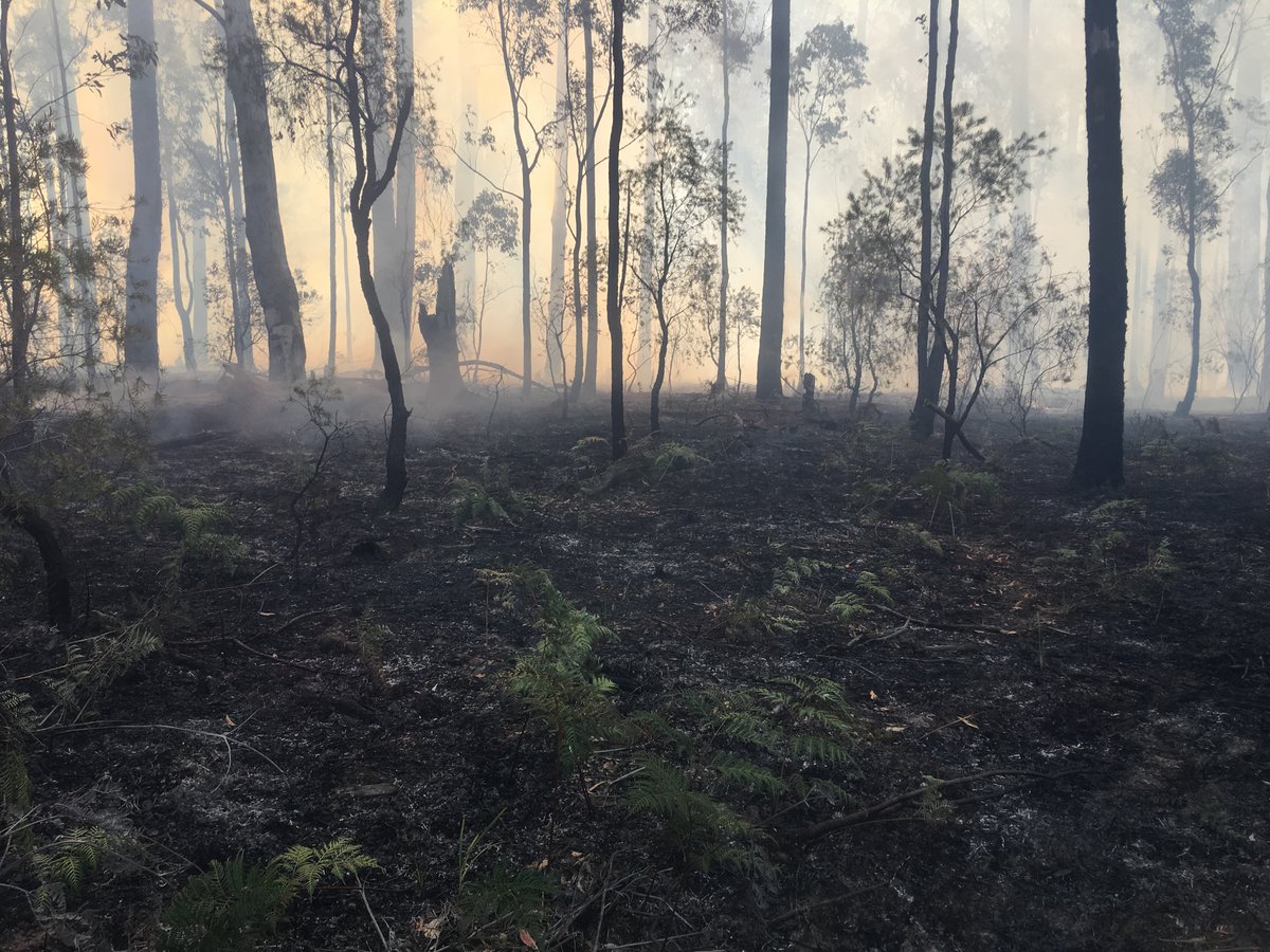 FFMVic's tweet photo. We have completed #PlannedBurning of 2.5 hectares at #NowaNowa. You may continue to see smoke in the surrounding areas. Thank you to the local community for your understanding. Updates at:https://t.co/ag3nlsm9EM #FFMVic https://t.co/o2pWxNURU4